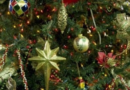 Сотрудников и студентов СГТУ ожидают новогодние каникулы