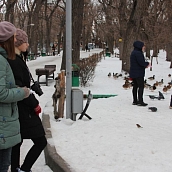 Политеховцы посчитали водоплавающих птиц