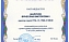 Куратор МСФ - лучший куратор группы СГТУ в 2011-2012 учебном году