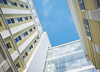 Студенты IT-специальностей могут получить стипендию Россельхозбанка