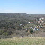 Студенты и преподаватели ЭКЛ-участники Всероссийского экологического субботника