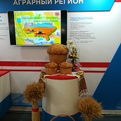 Профессор СГТУ – участник Дней Саратовской области в Совете Федерации РФ