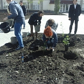 Преподаватели и студенты ЭКЛ приняли участие в высадке роз