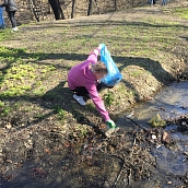 Экологи СГТУ участвовали во Всероссийском экосубботнике 
