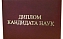 Аспирантка ЭКЛ успешно защитила кандидатскую диссертацию