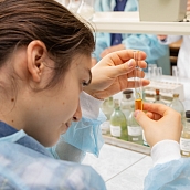 Подведены итоги региональной олимпиады «Юный химик-10»