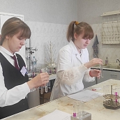 Подведены итоги региональной олимпиады «Юный химик-10» 