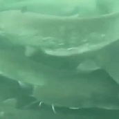 Экологи политеха проводят исследования в области природопользования