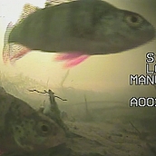 Экологи политеха проводят исследования в области природопользования