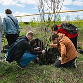 В Политехе прошла международная акция «Сад памяти – 2022»