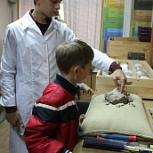 В саратовском опорном вузе открыли лабораторию для юных палеонтологов и археологов