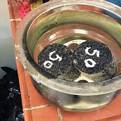 Дорожная лаборатория кафедры ТСТ контролирует ремонт дорог