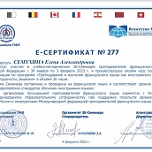 Преподаватели кафедры ПМК приняли участие в международном онлайн семинаре