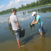Кафедра ЭКЛ - участник экоакции «Волге –чистые берега»