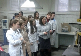 Учащиеся инженерной школы химика изготовили символы года
