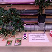 Электрические и электронные приборы для чудо-урожая