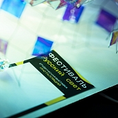 При участии Института УРБАС прошел фестиваль «Русский свет»