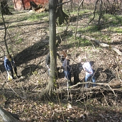 Студенты и преподаватели ЭКЛ-участники Всероссийского экологического субботника
