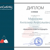 Студентка СЭИ победила в  Международном конкурсе 