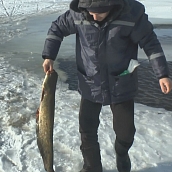 Экологи политеха проводят исследования в области природопользования