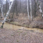 Преподаватели и студенты ЭКЛ осуществили историко-экологическую экспедицию
