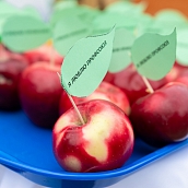 «Неделя добра»: День здоровья