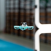 Студент Политеха выступит в финале «Интеллектуальной олимпиады ПФО» 