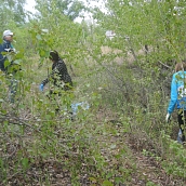 Студенты ЭКЛ – участники акции «Чистый берег»