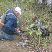 Студенты ЭКЛ – участники акции «Чистый берег»