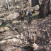 Студенты и преподаватели ЭКЛ-участники Всероссийского экологического субботника