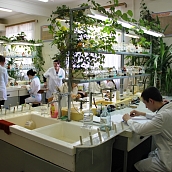 Доцент кафедры ХИМ - председатель жюри областной олимпиады