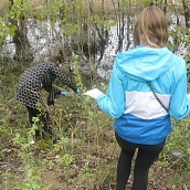 Студенты ЭКЛ – участники акции «Чистый берег»