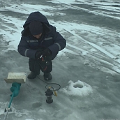Экологи политеха проводят исследования в области природопользования