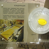 Студенты –экологи посетили Информационный центр Балаковской АЭС