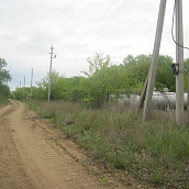 Студенты ЭКЛ – участники акции «Чистый берег»