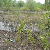 Студенты ЭКЛ – участники акции «Чистый берег»