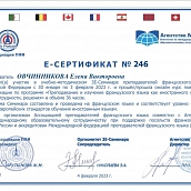 Преподаватели кафедры ПМК приняли участие в международном онлайн семинаре