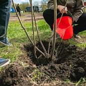 В Политехе прошла международная акция «Сад памяти – 2022»