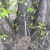 Студенты ЭКЛ – участники акции «Чистый берег»