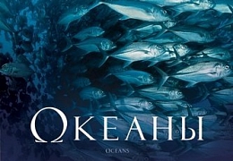 В СГТУ покажут фильм «Океаны»
