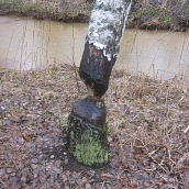 Преподаватели и студенты ЭКЛ осуществили историко-экологическую экспедицию