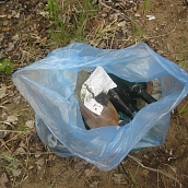 Студенты ЭКЛ – участники акции «Чистый берег»