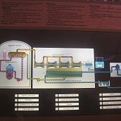 Студенты –экологи посетили Информационный центр Балаковской АЭС