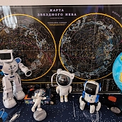 Студенты СЭИ узнали об особенностях психологической поддержки космонавтов 